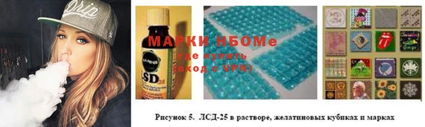 прущие грибы Новодвинск