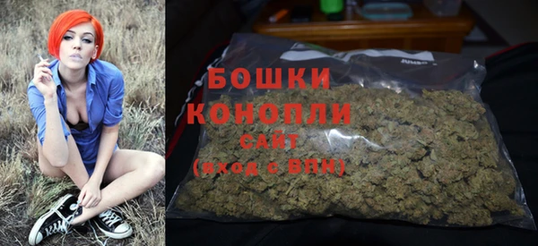 стафф Новозыбков